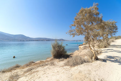 Scenic view of sea against clear blue sky