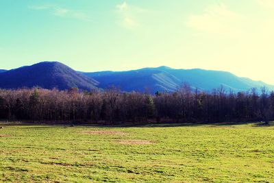 Scenic view of field and mountains against sky