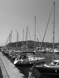 Sailboats moored on harbor against clear sky