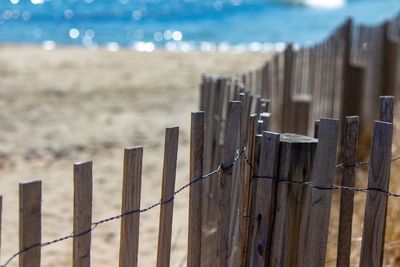 Wooden posts on beach