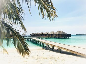 Palm trees on beach against sky