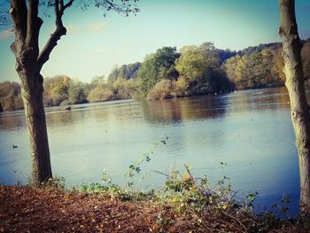Scenic view of lake by trees against sky