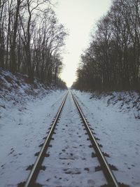 Railroad track amidst bare trees during winter