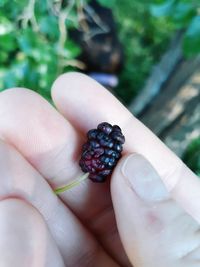 Midsection of person holding fruits