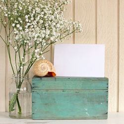 Gypsophila flowers in glass jar by blank paper and seashell on wooden box