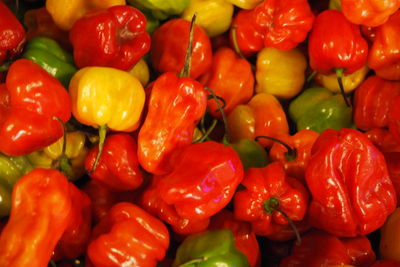 Full frame shot of tomatoes