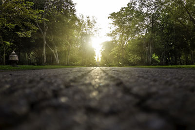 Surface level of road amidst trees against sky