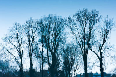 Low angle view of bare trees against clear sky