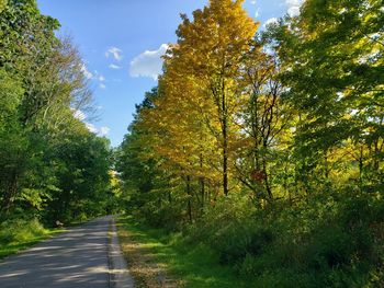 Road amidst trees in forest against sky