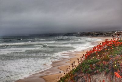 Scenic view of beach against sky
