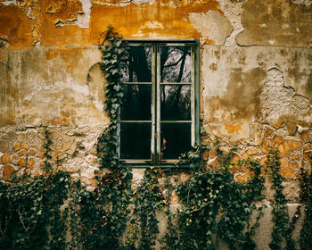 Window of abandoned house