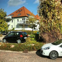 Cars parked in front of building