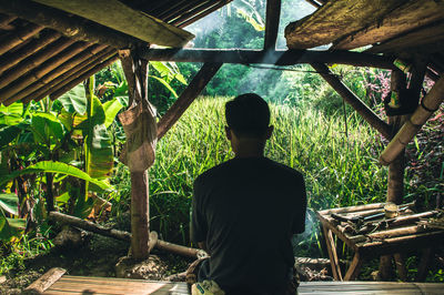 Rear view of man standing against trees