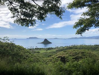 Scenic view of sea against sky