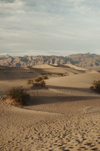 Scenic view of desert against sky