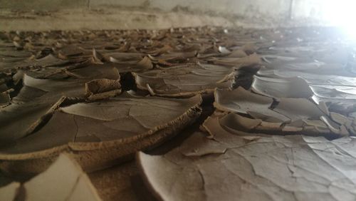 Close-up of dry leaves on table