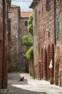 View of old building