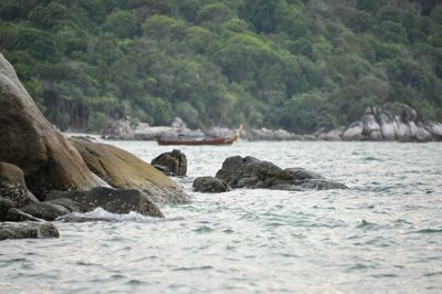 Scenic view of sea by trees