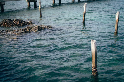 High angle view of wooden post in sea