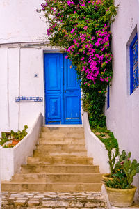 Footpath amidst building