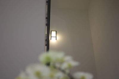 Close-up of illuminated lamp