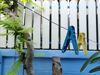 Clothespins on clothesline