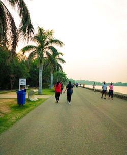 Rear view of people walking on palm trees