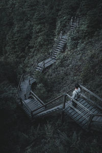 High angle view of staircase in forest