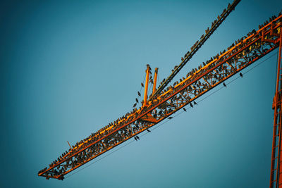 Low angle view of birds perching on crane against clear sky