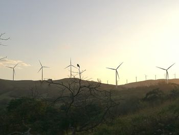 Wind turbines on field against sky during sunset