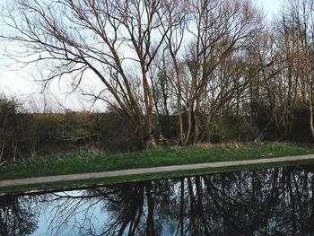 Reflection of trees in lake against sky