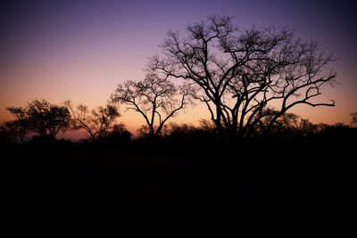 Silhouette bare trees on field against sky during sunset