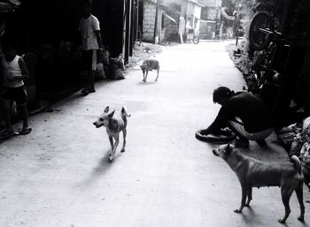 Low section of man with dog