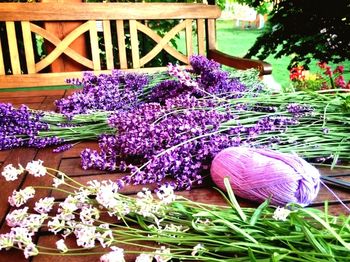 Close-up of purple flowering plants