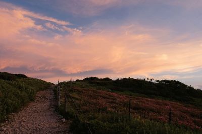 Scenic view of field against sky during sunset