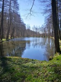 Scenic view of lake in forest against sky