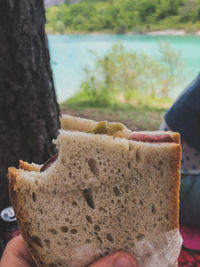 Close-up of hand holding bread