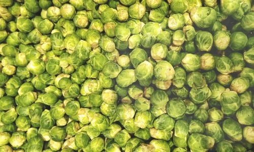 Full frame shot of brussels sprouts 