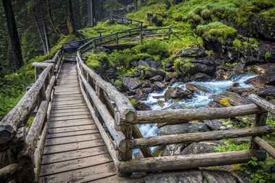 Wooden footbridge amidst trees in forest