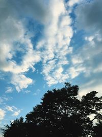 Low angle view of silhouette tree against sky