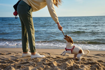 Woman and active dog have fun at sand sea beach. female owner walking with pet