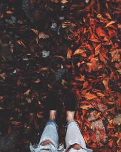 Low section of man standing on autumn leaves