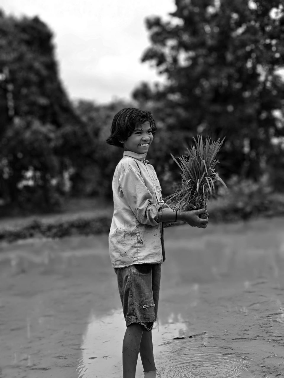 Boy holding crop while standing against rice paddy