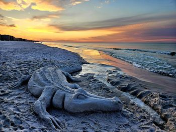 Sand sculpture of alligator on sandy beach in florida at sunrise.
