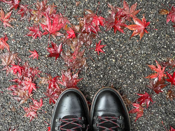 Low section of person standing by autumn leaves