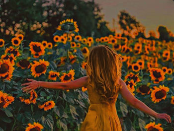 Rear view of woman against yellow flowering plants