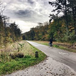 Road by trees against sky