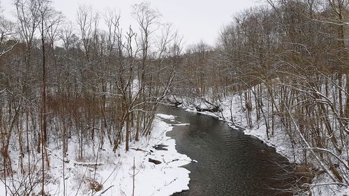 Bare trees on snow covered landscape