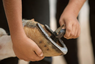 A close-up photo of a horse's hoof in his hand during cleaning