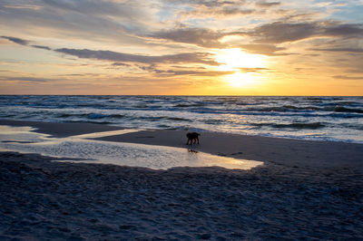 Scenic view of beach against sky during sunset